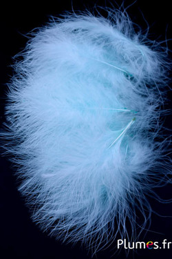 Dinde marabout - 8-12 cm - bleu ciel